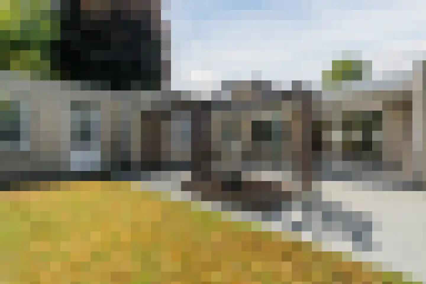 Fazant 37 Veldhoven thumbnail 35