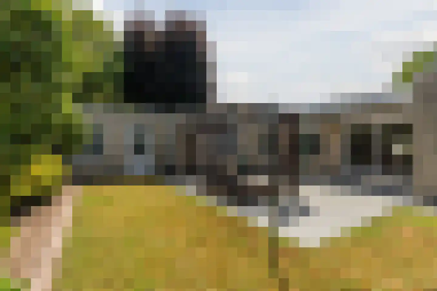 Fazant 37 Veldhoven thumbnail 37
