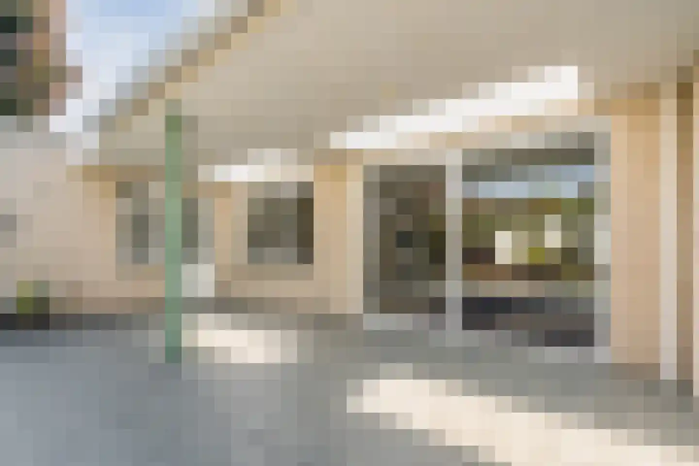Fazant 37 Veldhoven thumbnail 40
