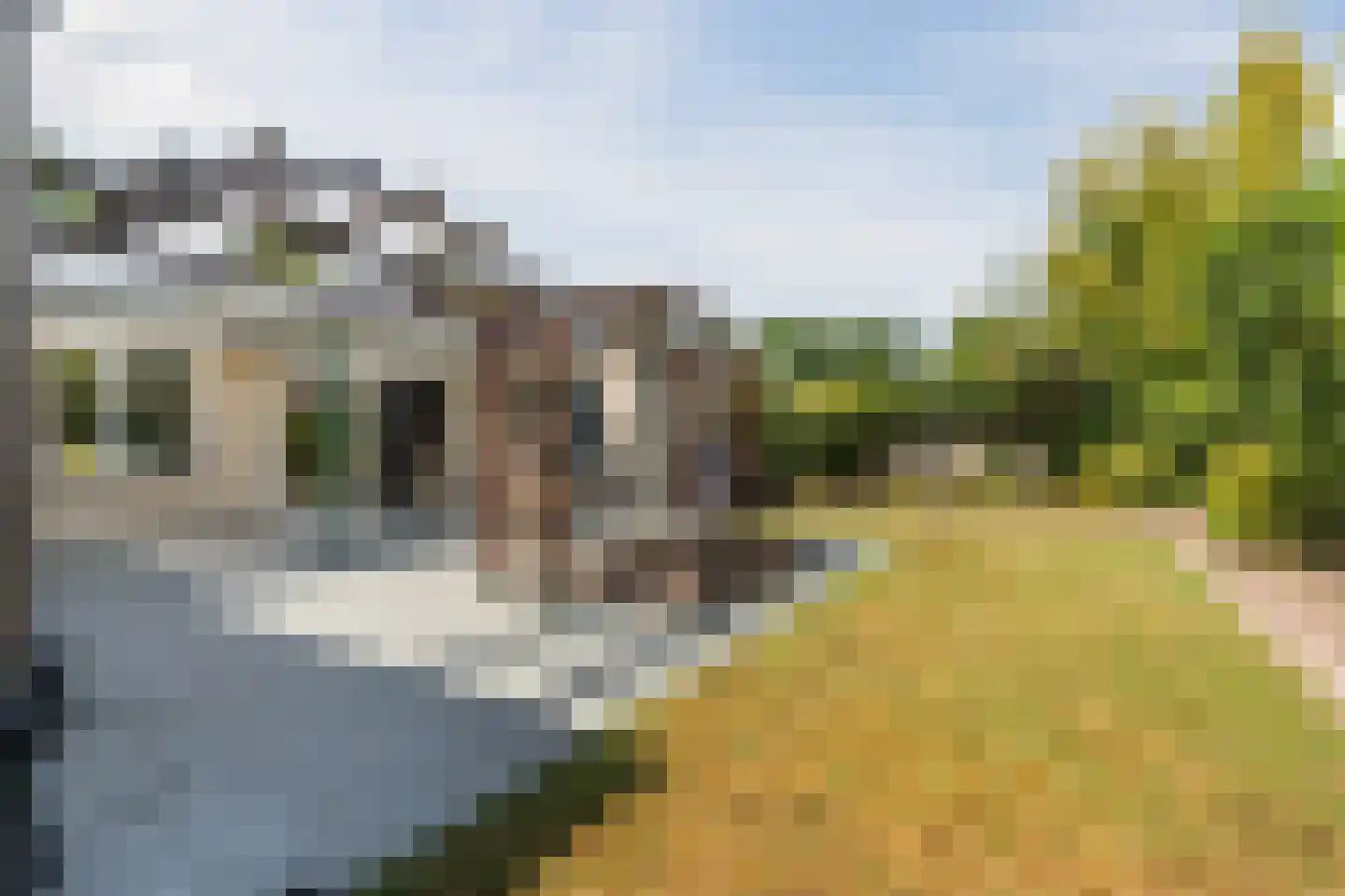 Fazant 37 Veldhoven thumbnail 41