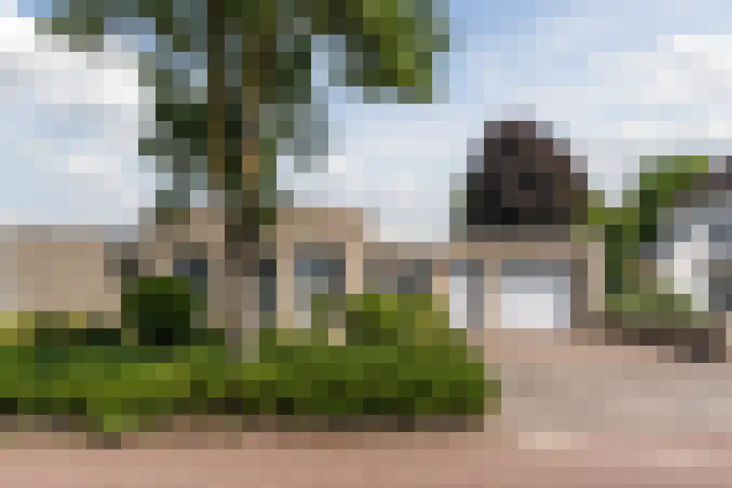 Fazant 37 Veldhoven thumbnail 5