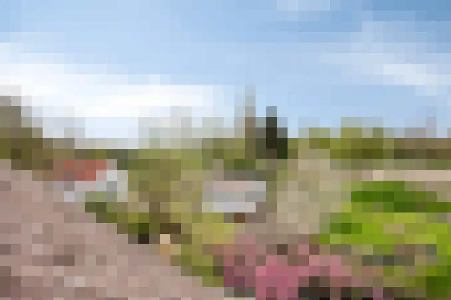 Fazant 42 Hoogvliet Rotterdam thumbnail 26