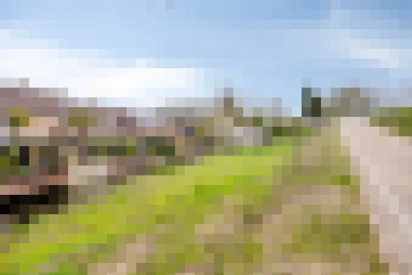 Fazant 42 Hoogvliet Rotterdam thumbnail 32