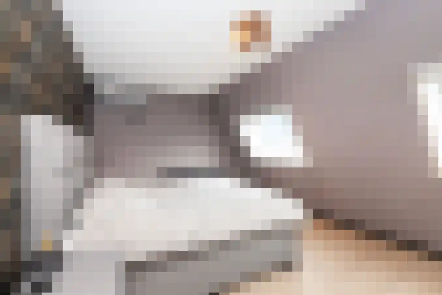 Fazant 44 Ridderkerk thumbnail 16