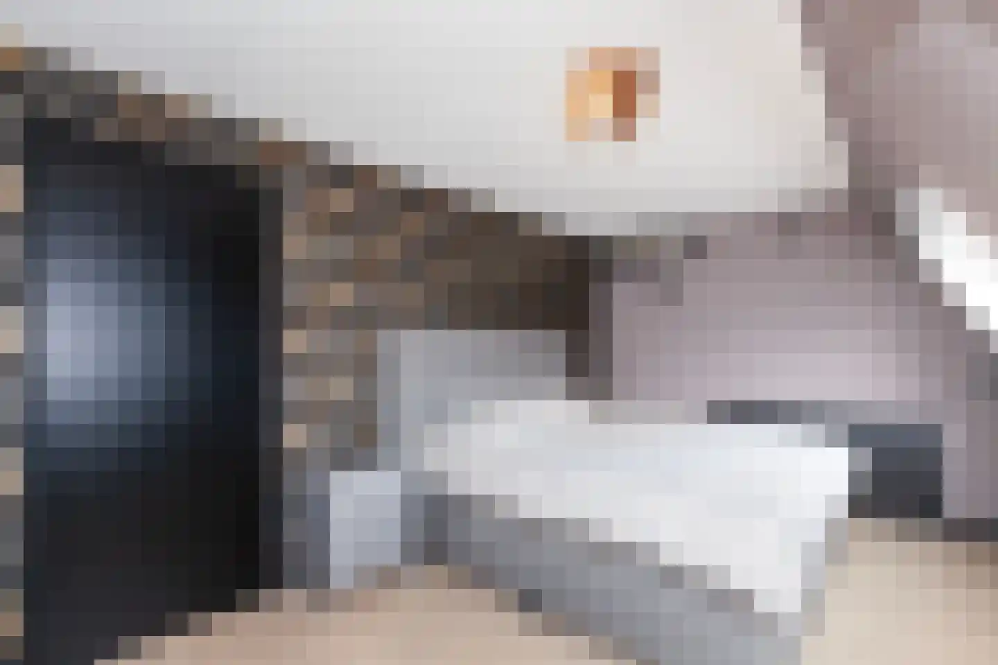 Fazant 44 Ridderkerk thumbnail 17