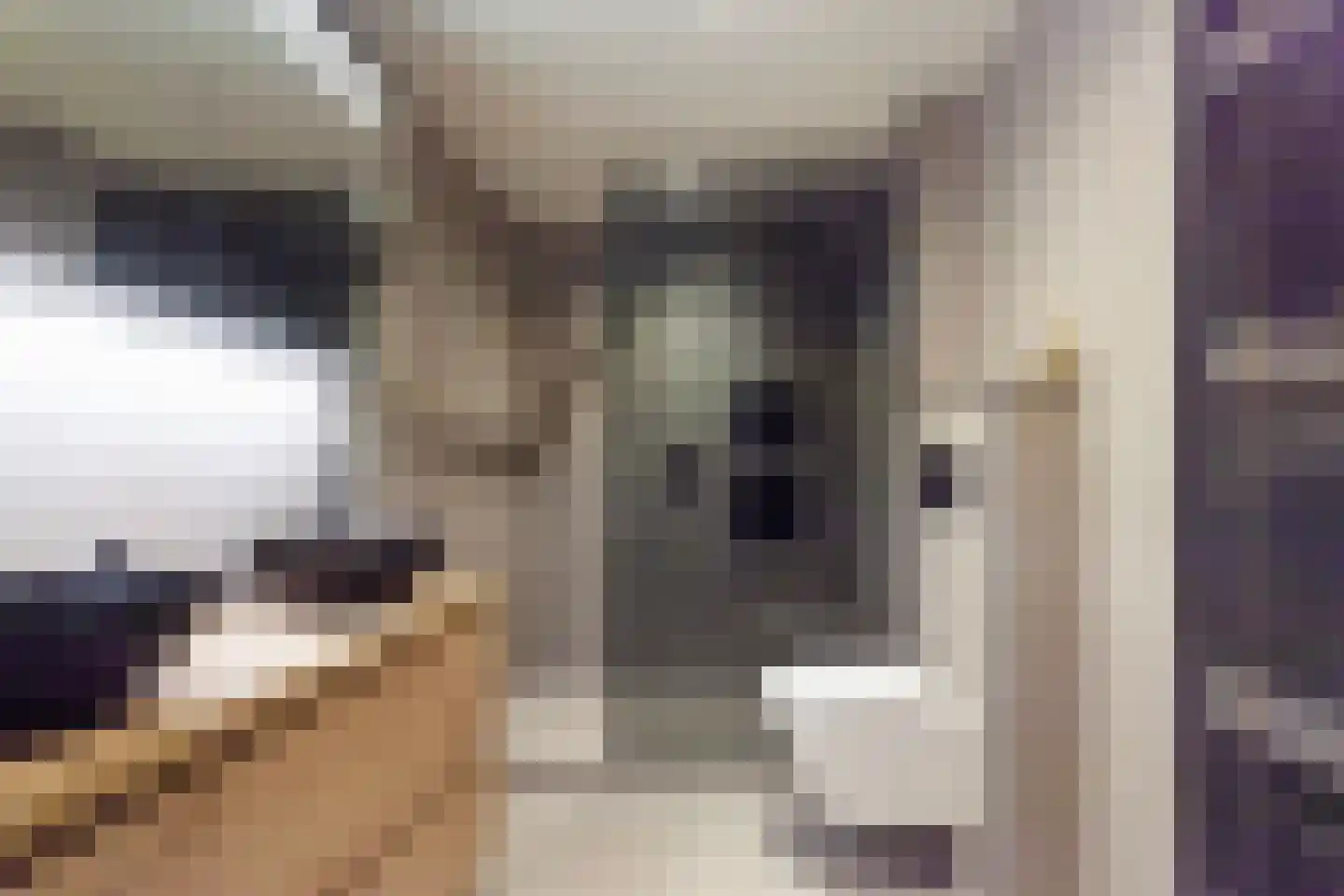 Fazant 44 Ridderkerk thumbnail 22