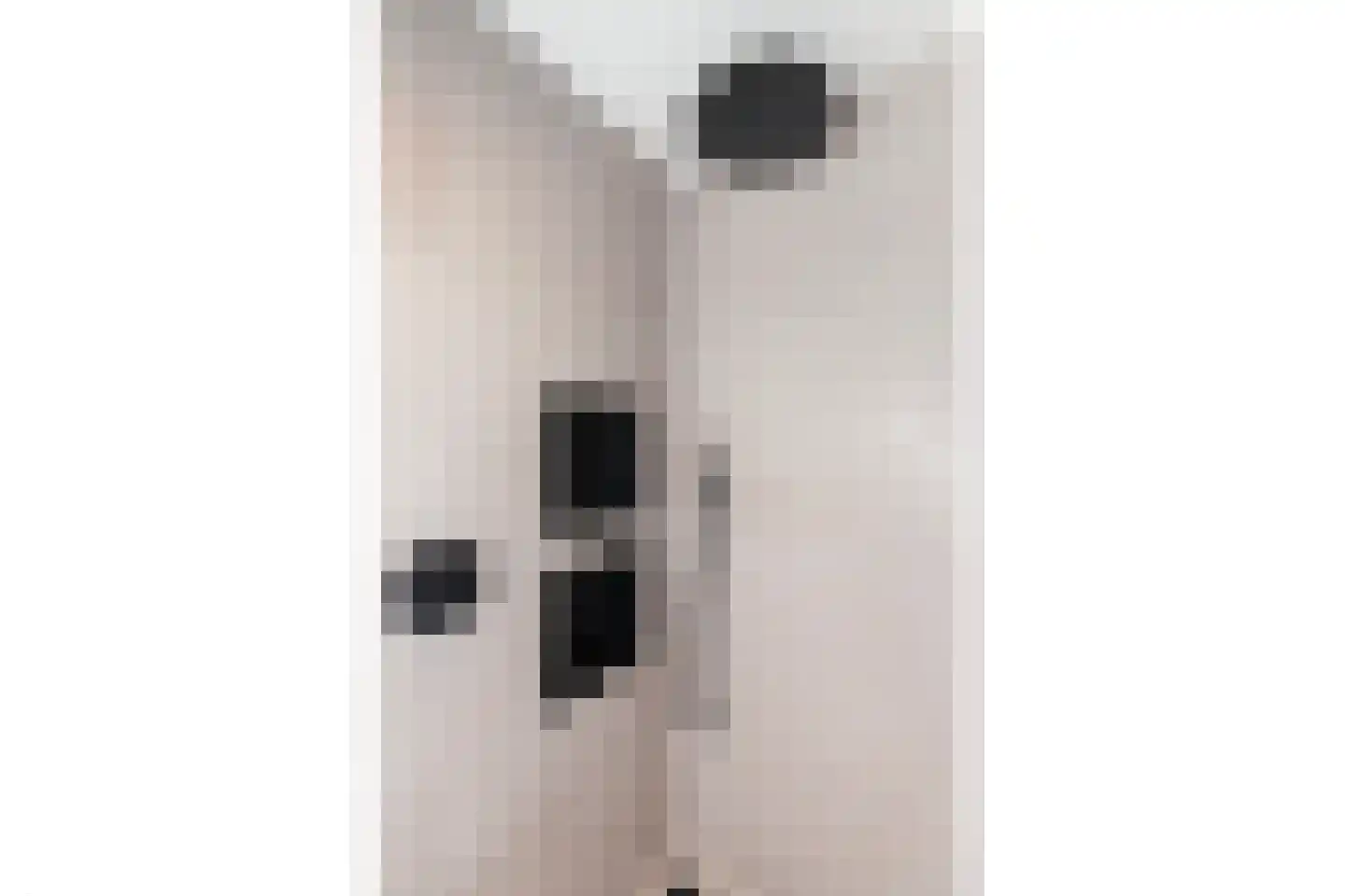 Fazant 44 Ridderkerk thumbnail 24