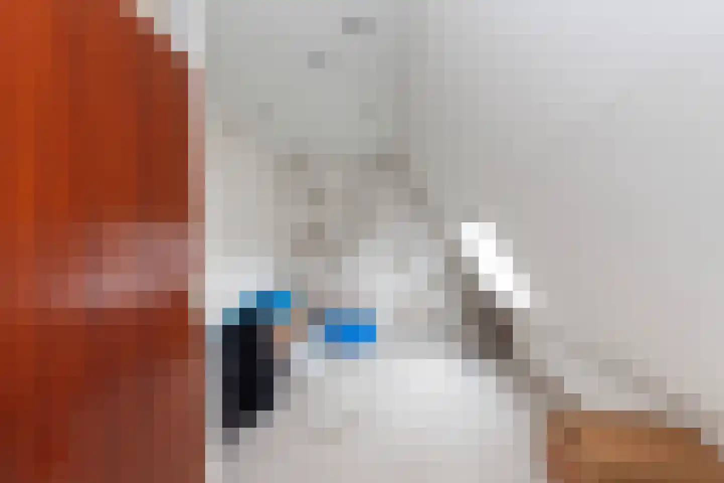 Fazant 44 Ridderkerk thumbnail 26