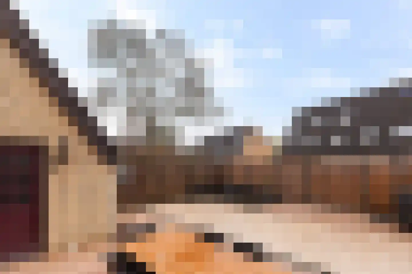 Fazant 44 Ridderkerk thumbnail 29
