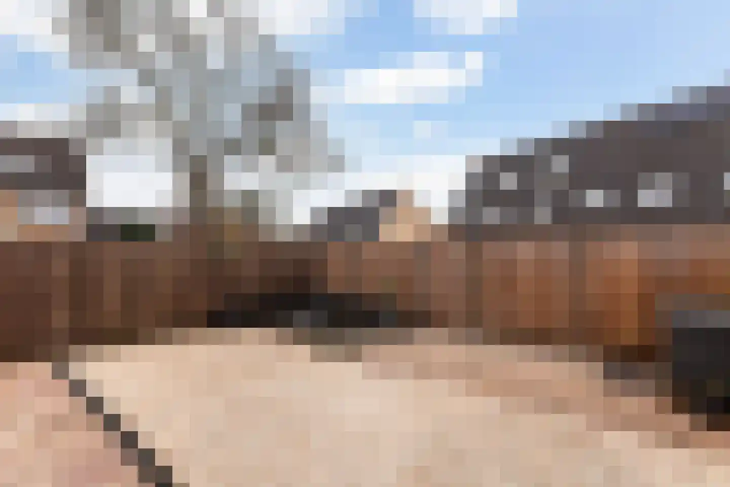 Fazant 44 Ridderkerk thumbnail 31