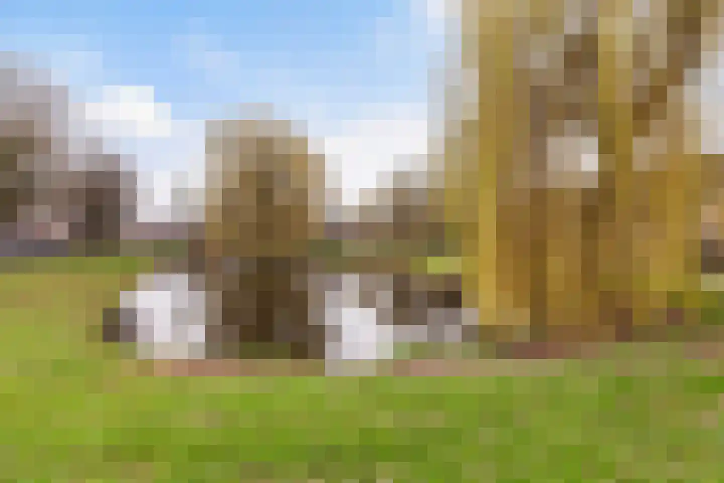 Fazant 44 Ridderkerk thumbnail 34