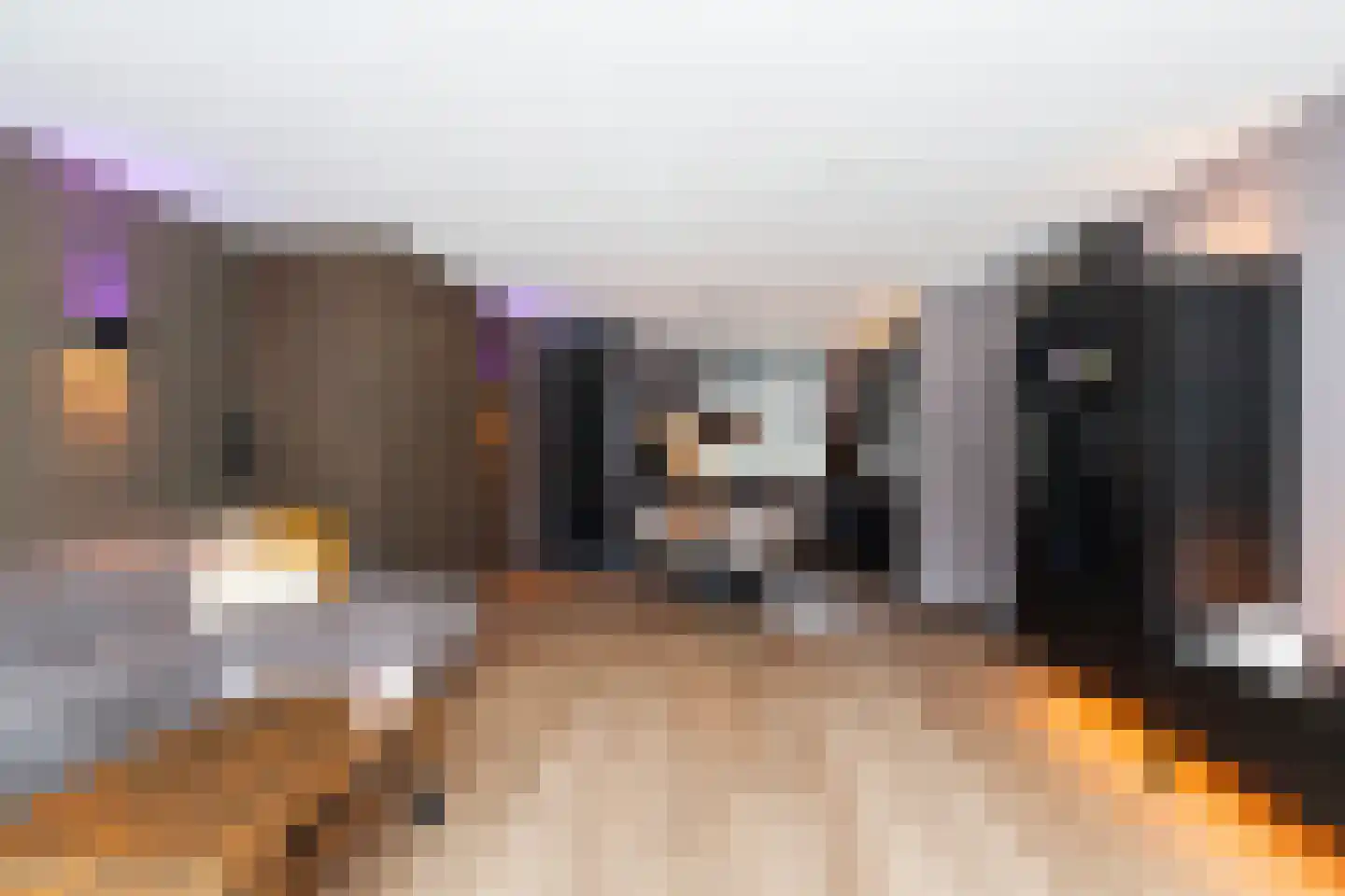Fazant 44 Ridderkerk thumbnail 9