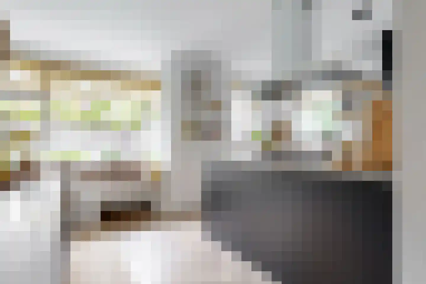 Fazant 5 Leimuiden thumbnail 10