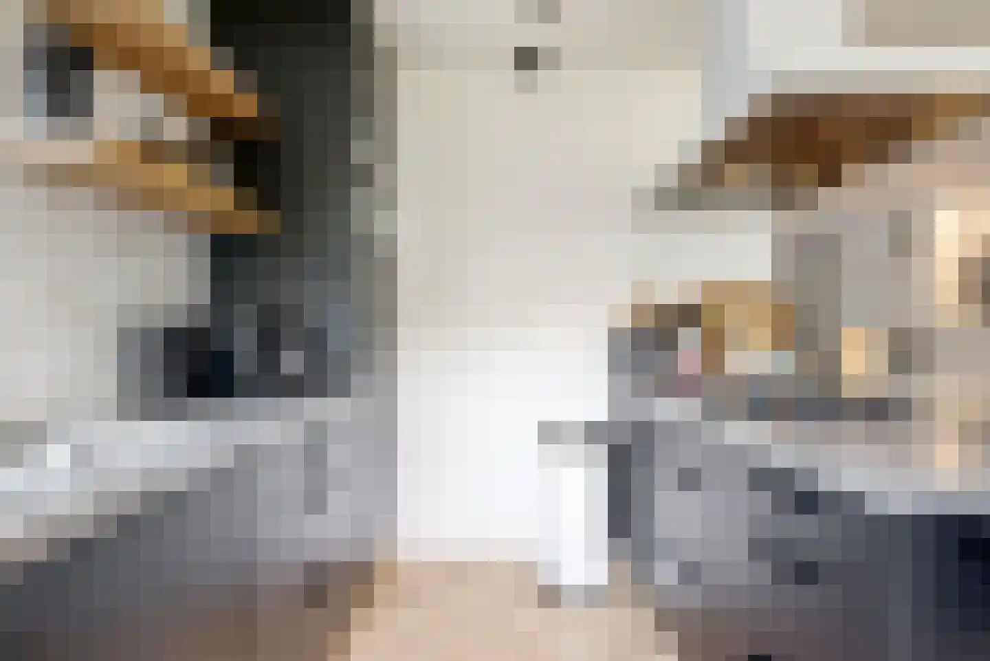 Fazant 5 Leimuiden thumbnail 11