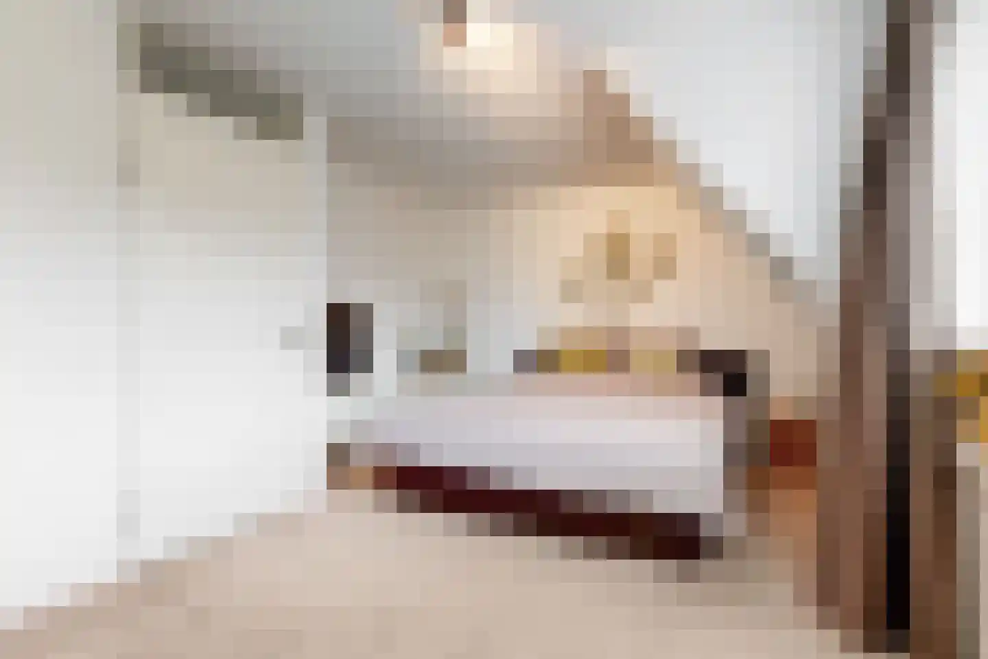 Fazant 5 Leimuiden thumbnail 16