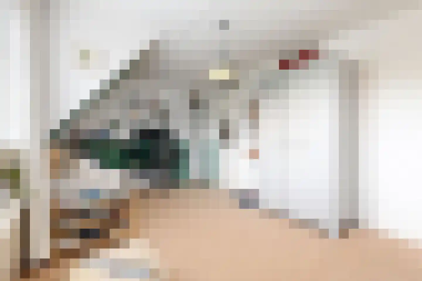 Fazant 5 Leimuiden thumbnail 20