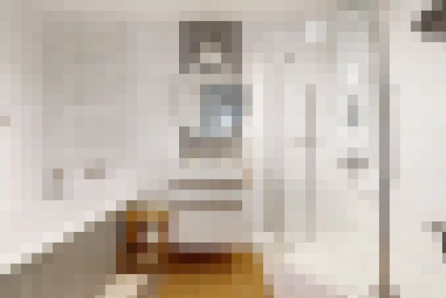 Fazant 5 Leimuiden thumbnail 21