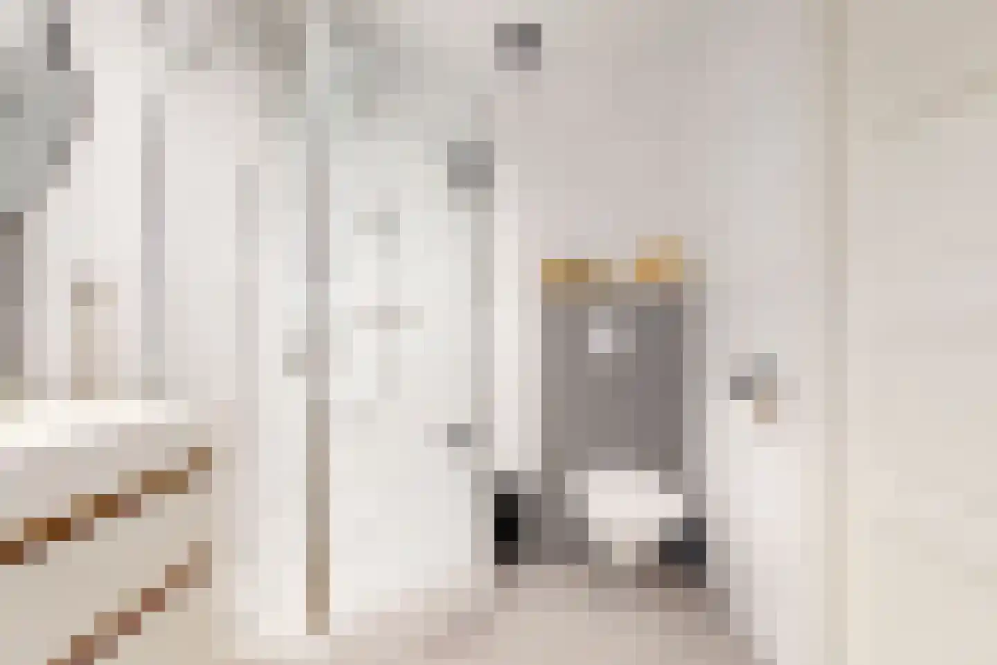 Fazant 5 Leimuiden thumbnail 22