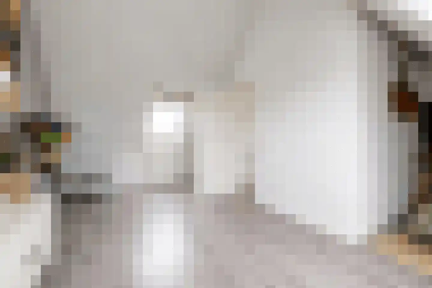 Fazant 5 Leimuiden thumbnail 24