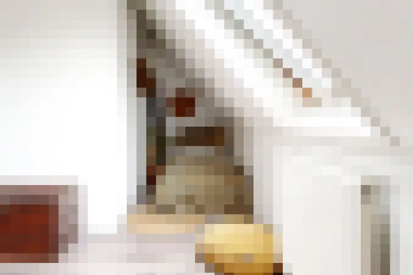 Fazant 5 Leimuiden thumbnail 26