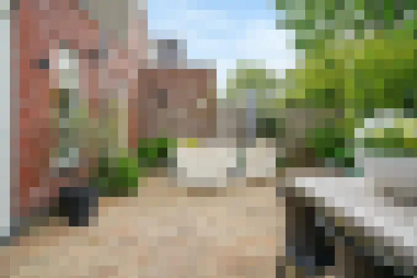 Fazant 5 Leimuiden thumbnail 29