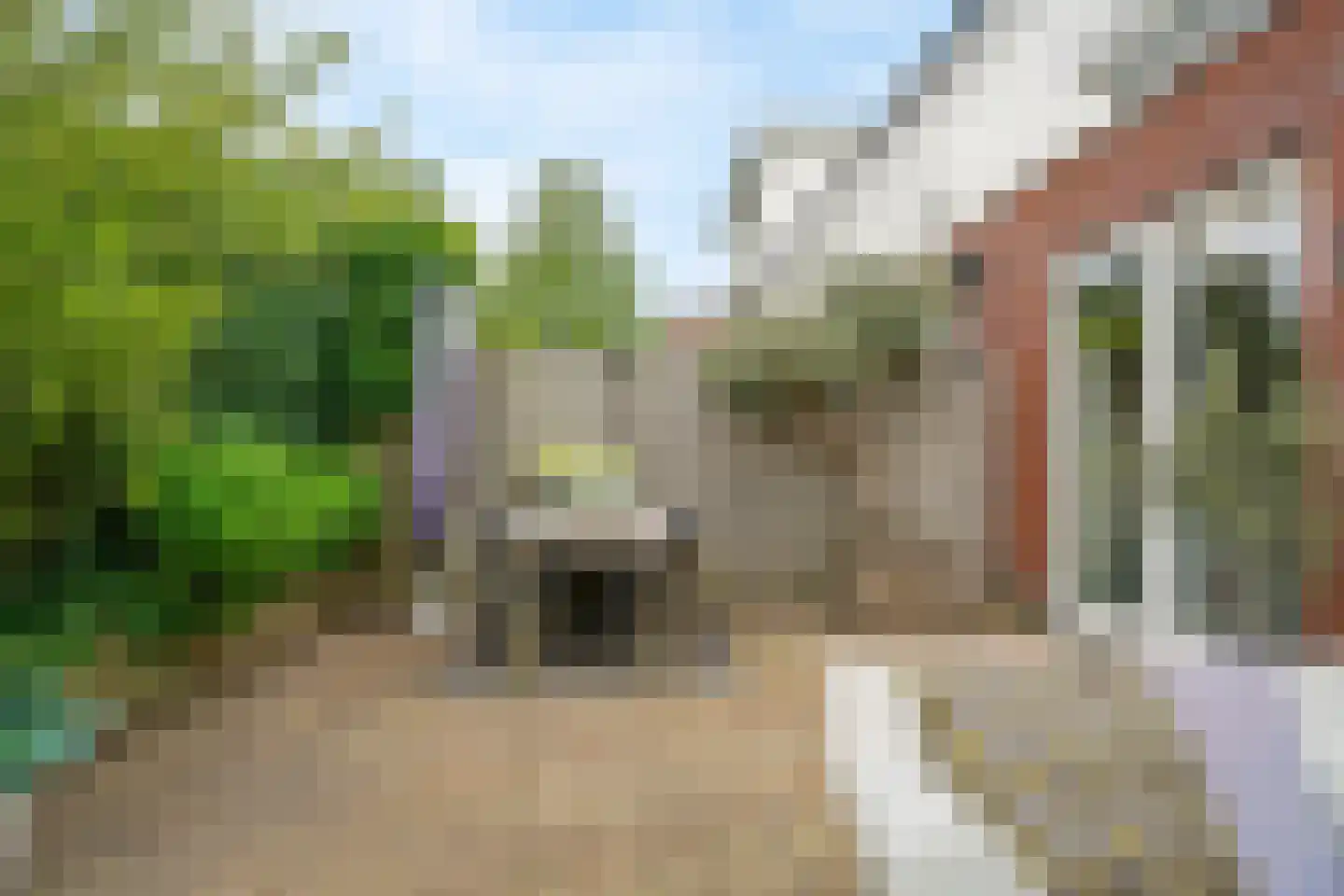 Fazant 5 Leimuiden thumbnail 30