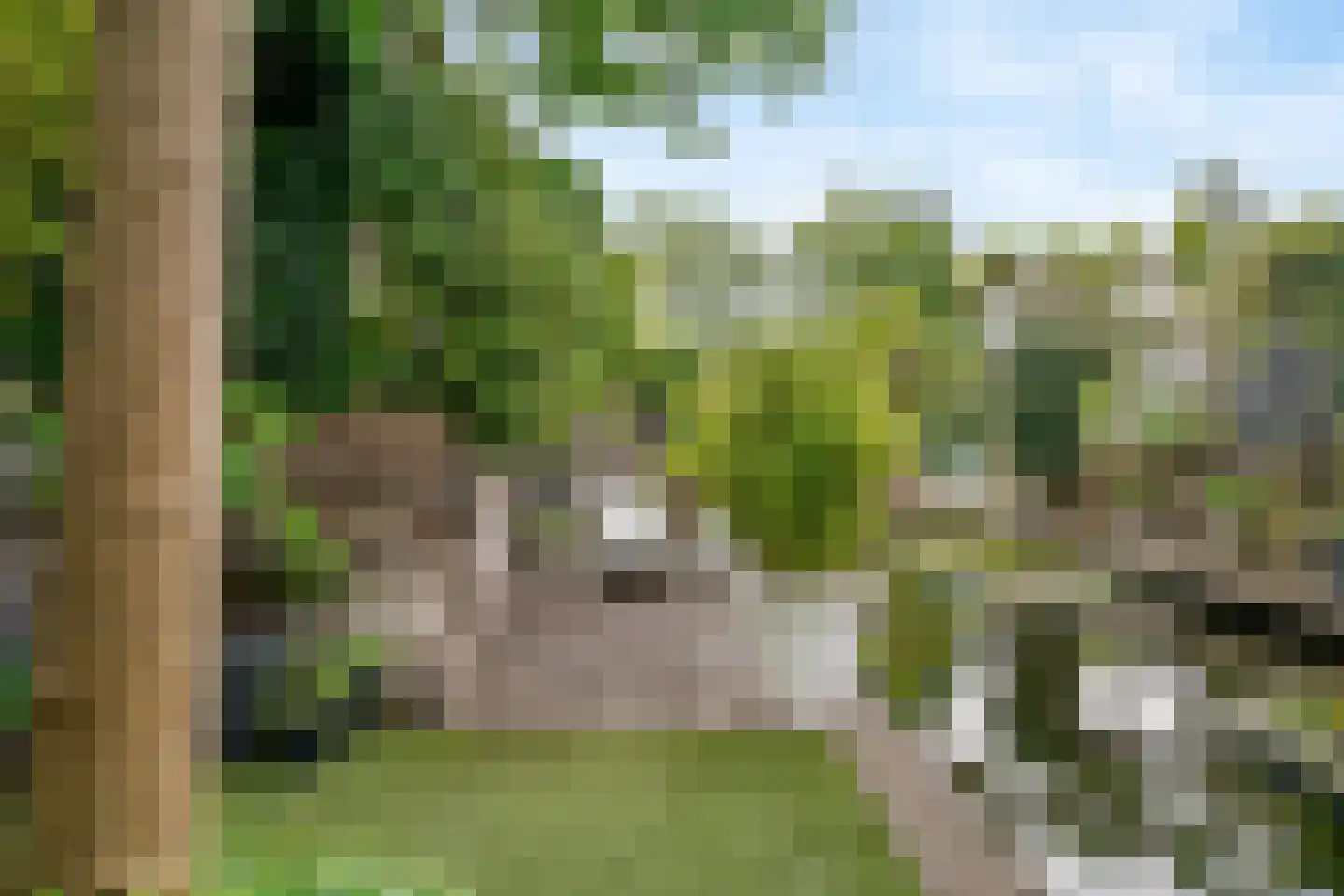 Fazant 5 Leimuiden thumbnail 31