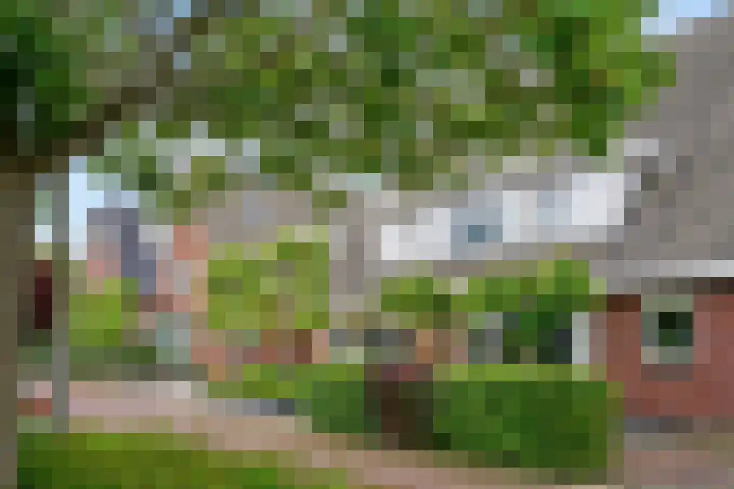 Fazant 5 Leimuiden thumbnail 34