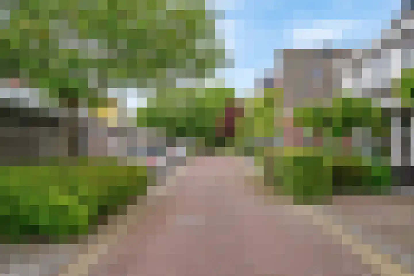 Fazant 5 Leimuiden thumbnail 35