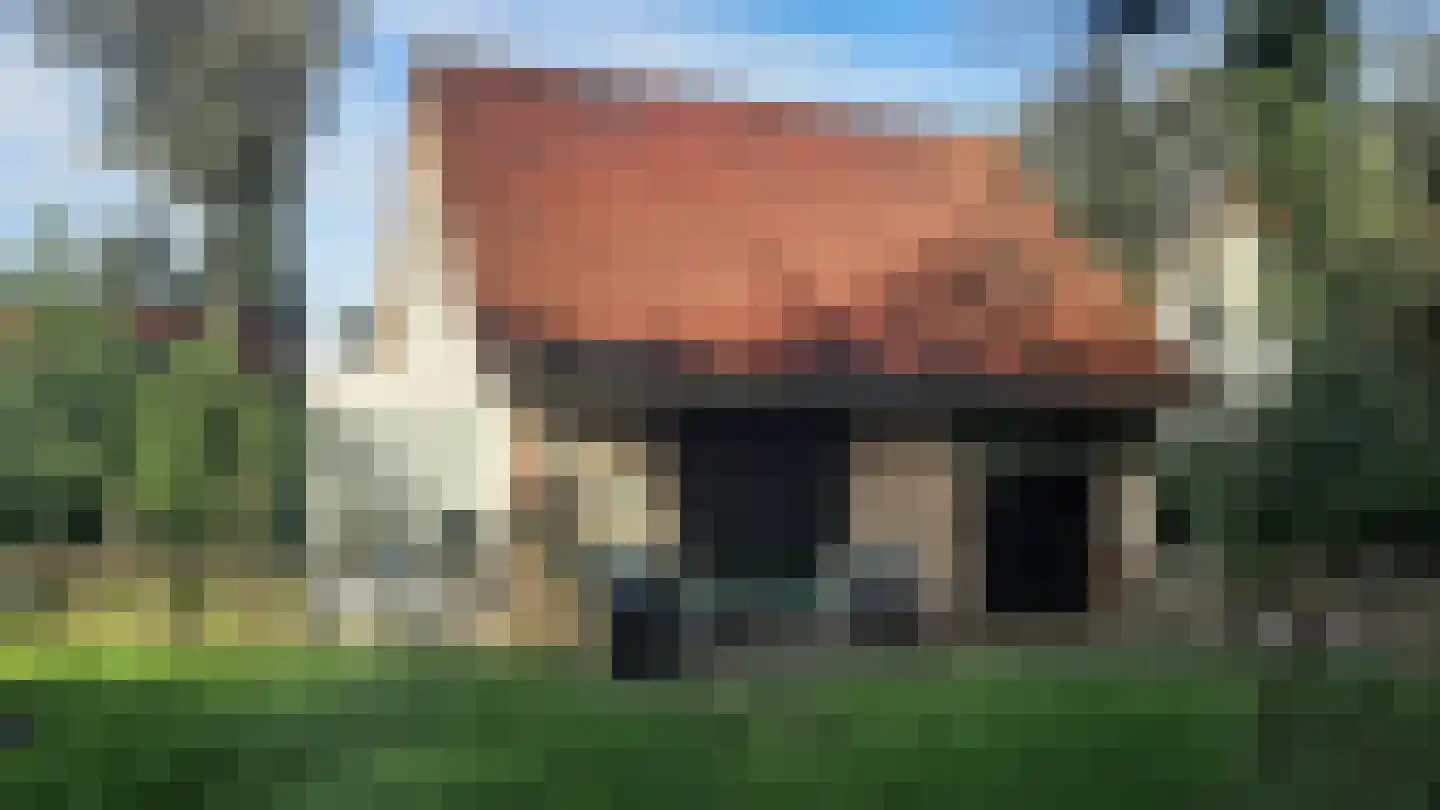 Fazant 6 in Sibculo