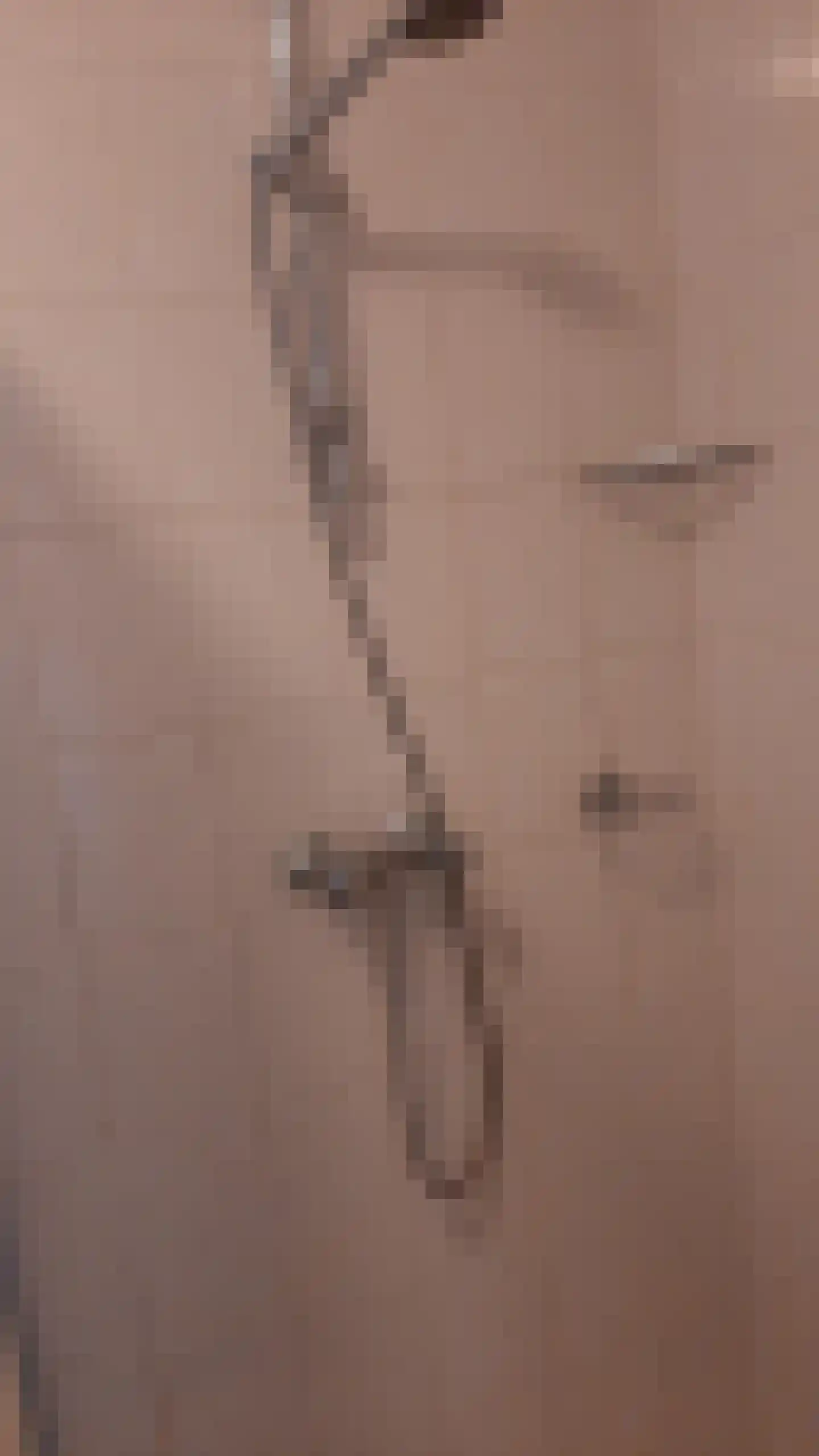 Fazant 6 Sibculo thumbnail 13