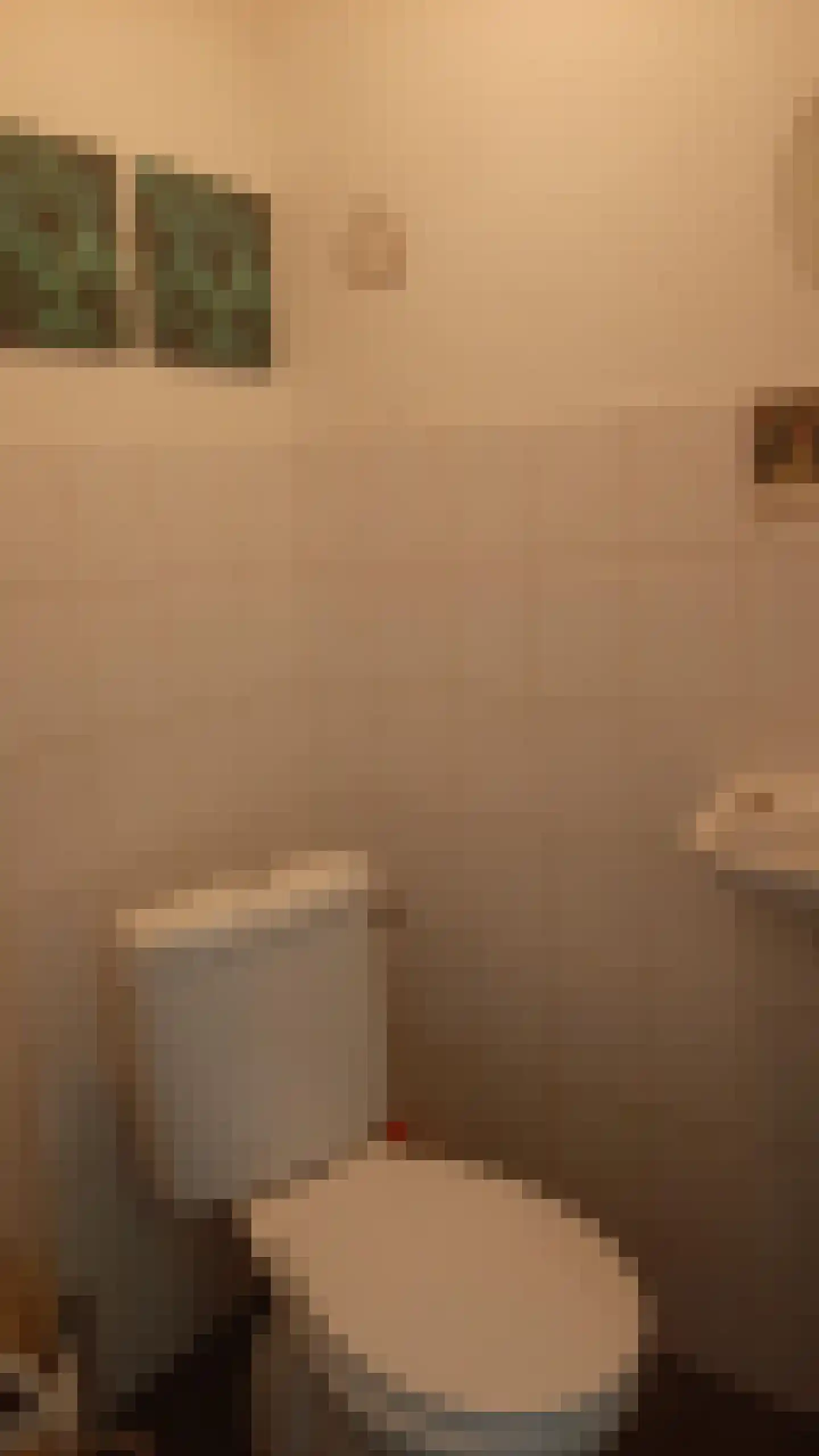 Fazant 6 Sibculo thumbnail 14