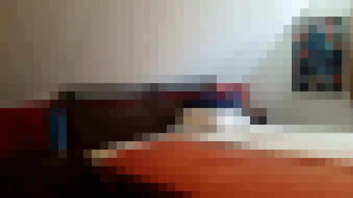 Fazant 6 Sibculo thumbnail 17