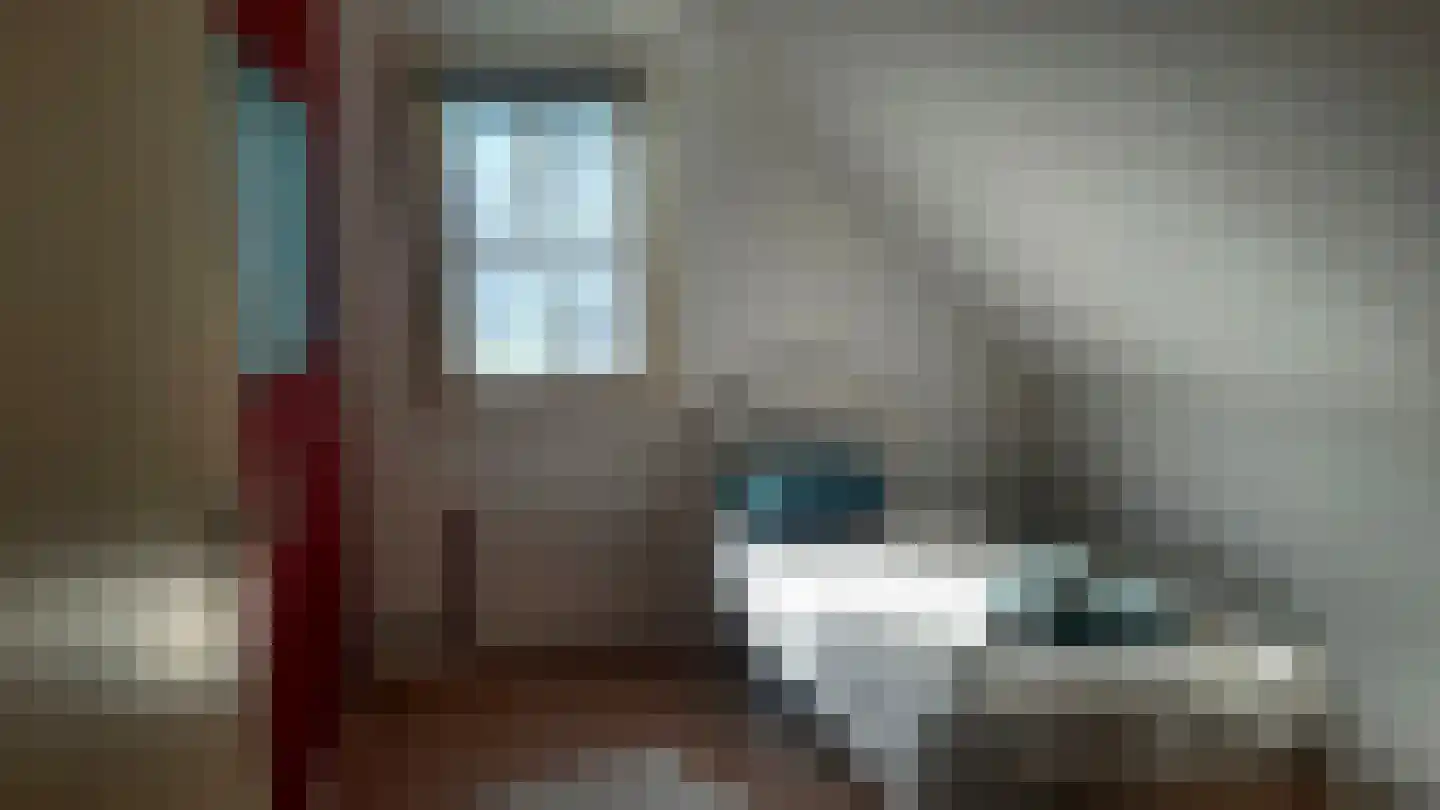 Fazant 6 Sibculo thumbnail 18