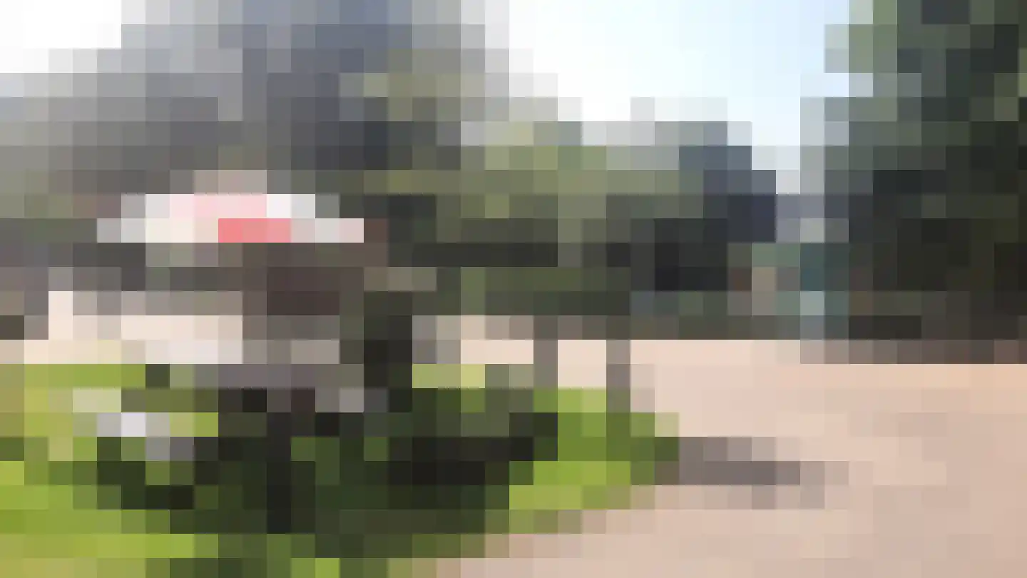 Fazant 6 Sibculo thumbnail 23