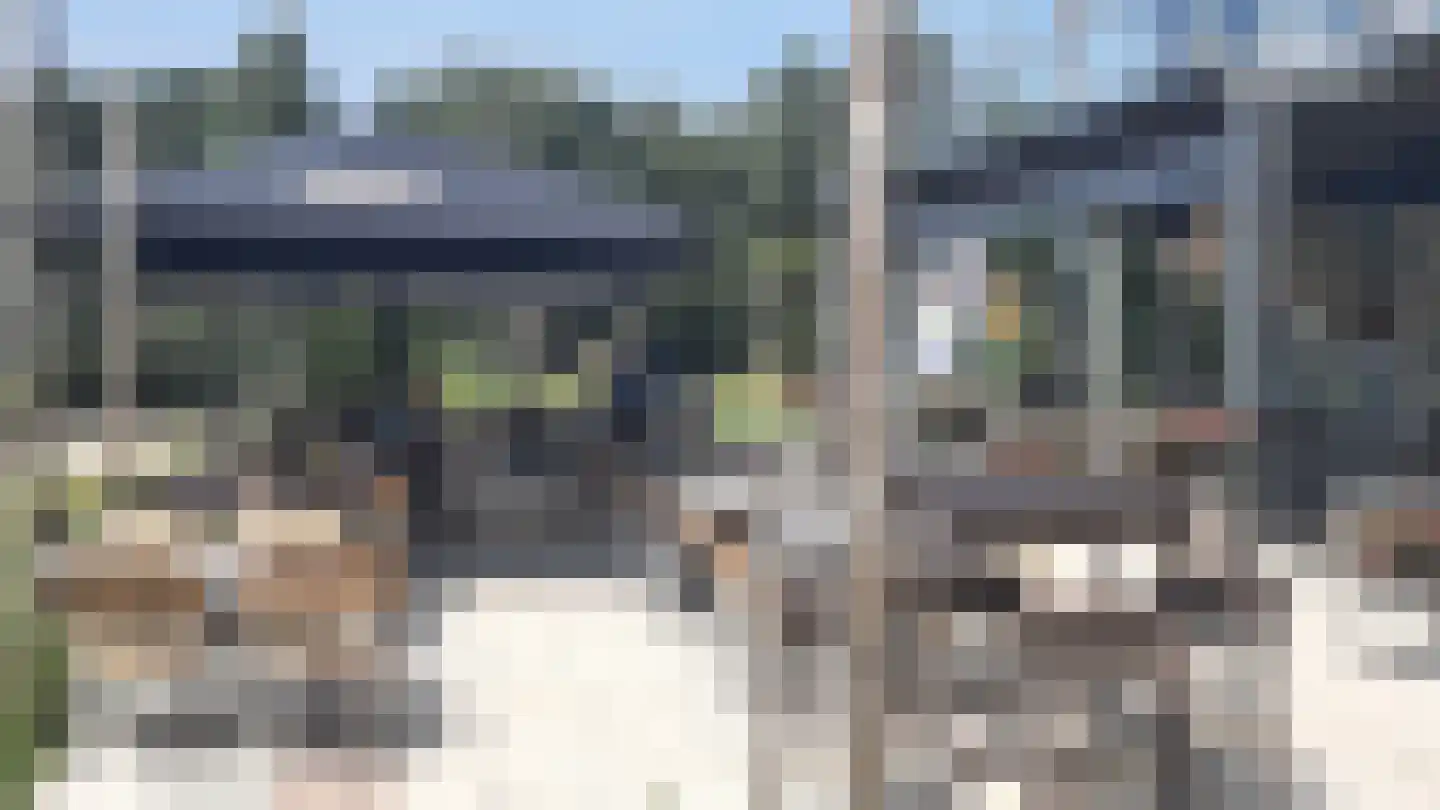 Fazant 6 Sibculo thumbnail 32