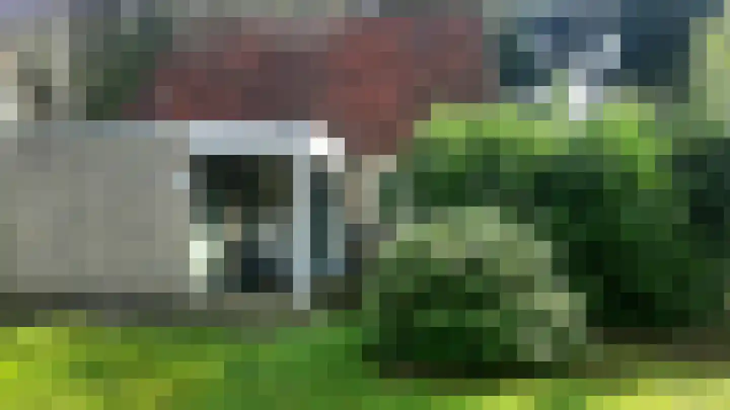 Fazant 6 Sibculo thumbnail 4