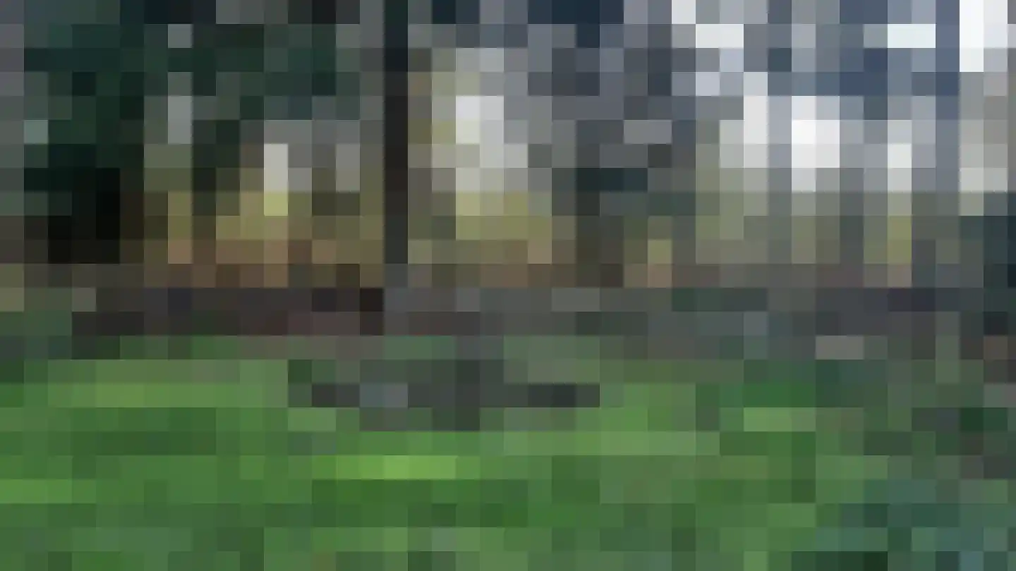 Fazant 6 Sibculo thumbnail 5