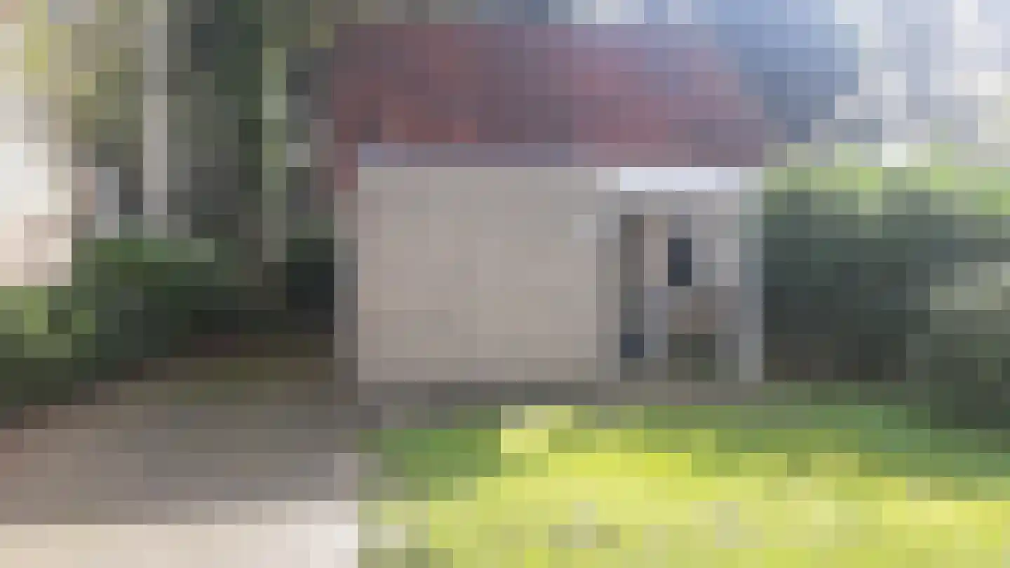 Fazant 6 Sibculo thumbnail 7