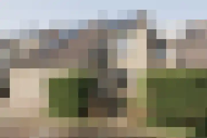 Fazant 64 en Ridderkerk
