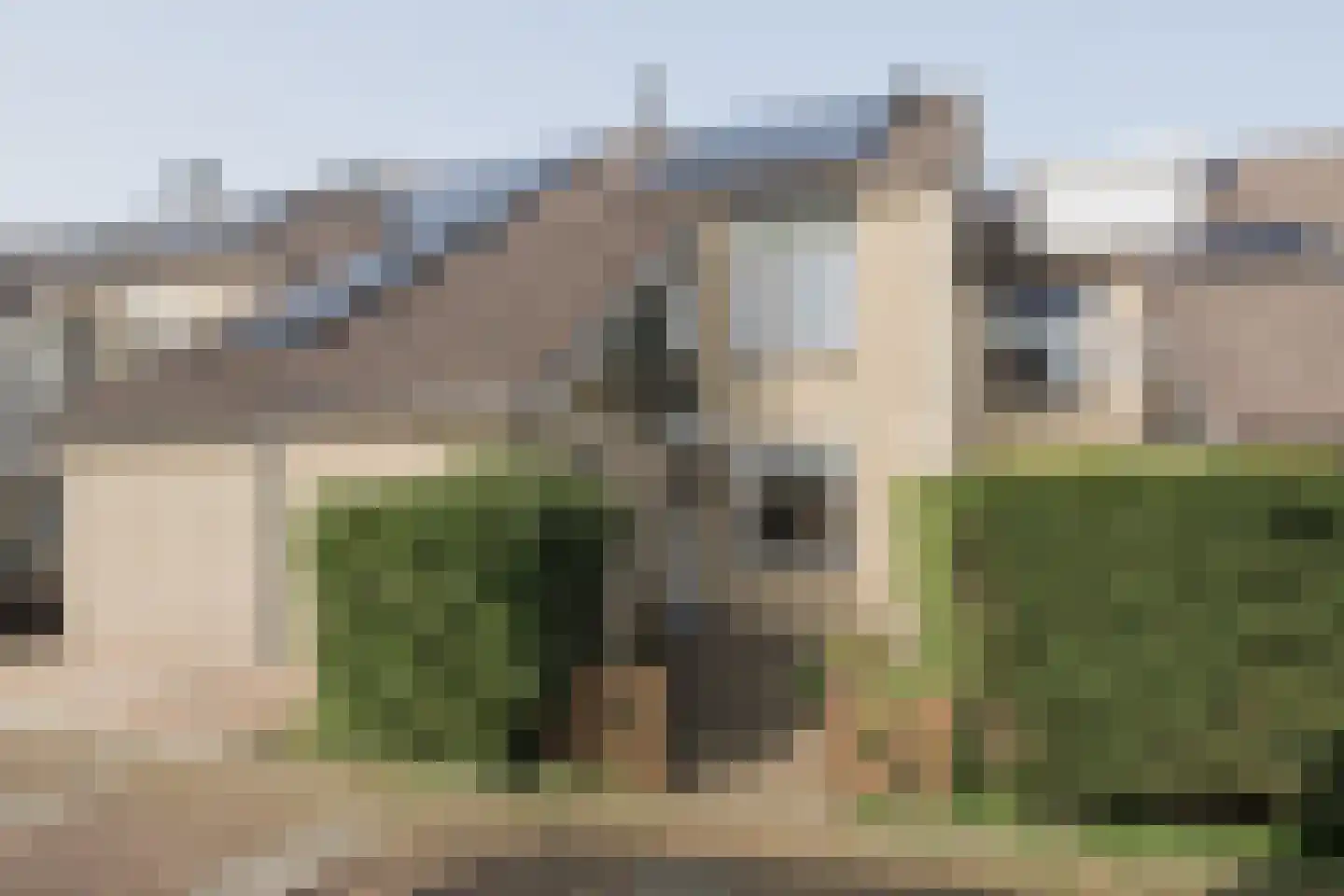 Fazant 64 en Ridderkerk