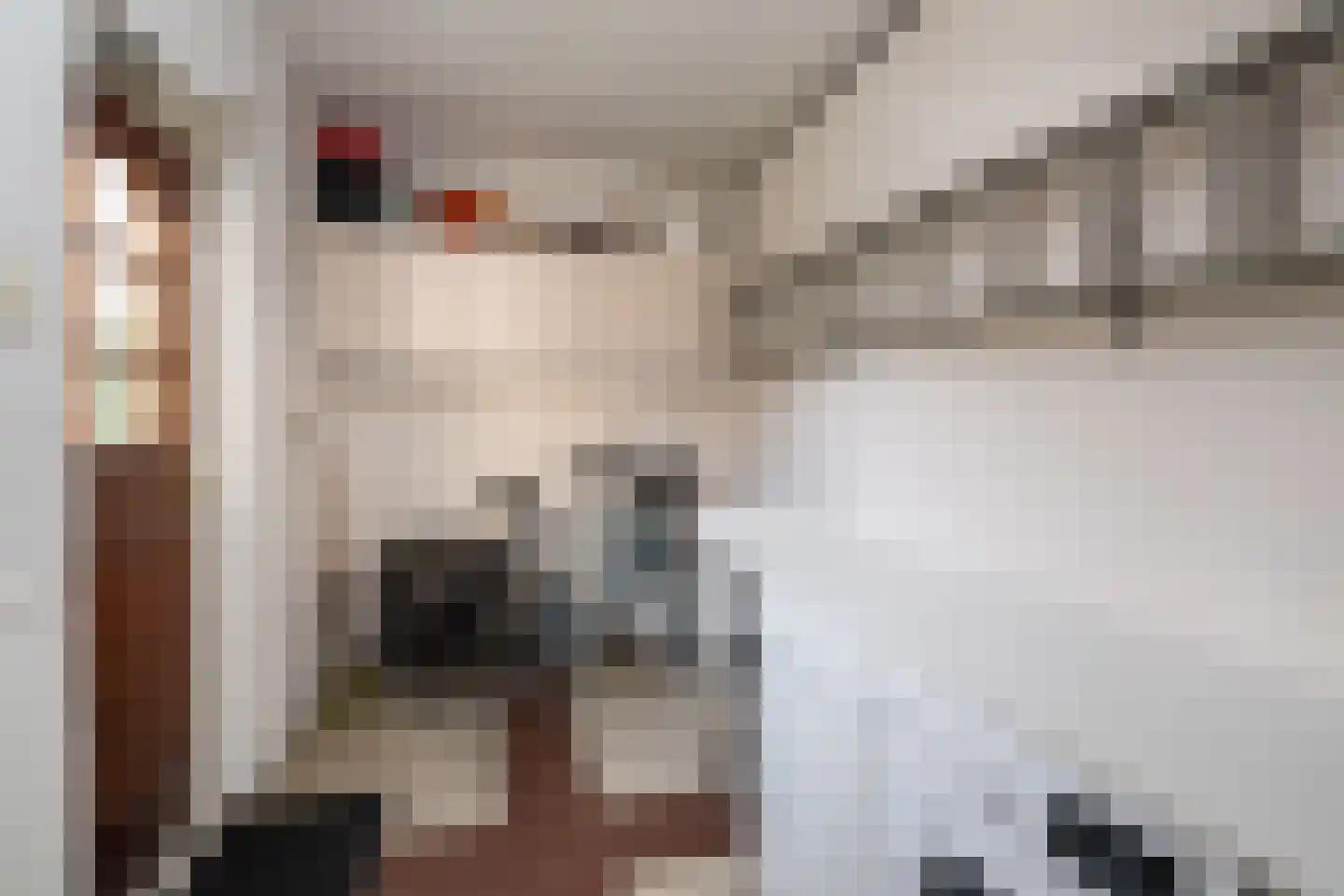 Fazant 64 Ridderkerk thumbnail 12