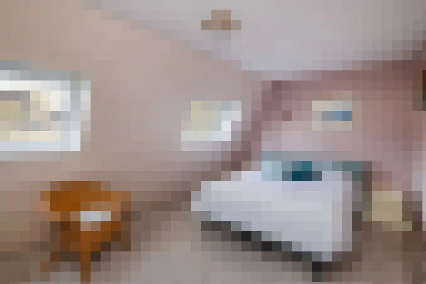 Fazant 64 Ridderkerk thumbnail 14
