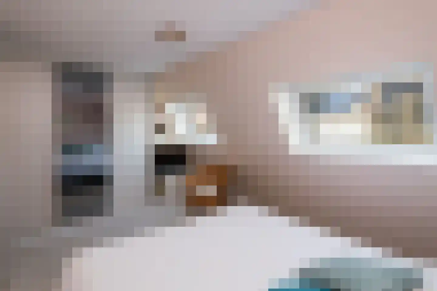 Fazant 64 Ridderkerk thumbnail 14