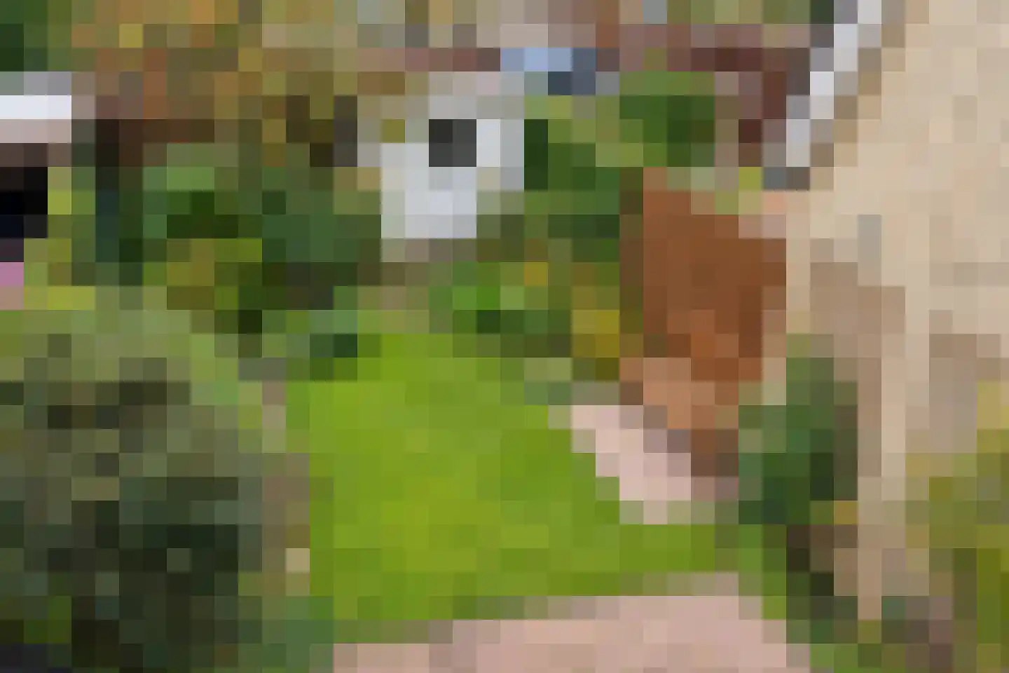 Fazant 64 Ridderkerk thumbnail 15