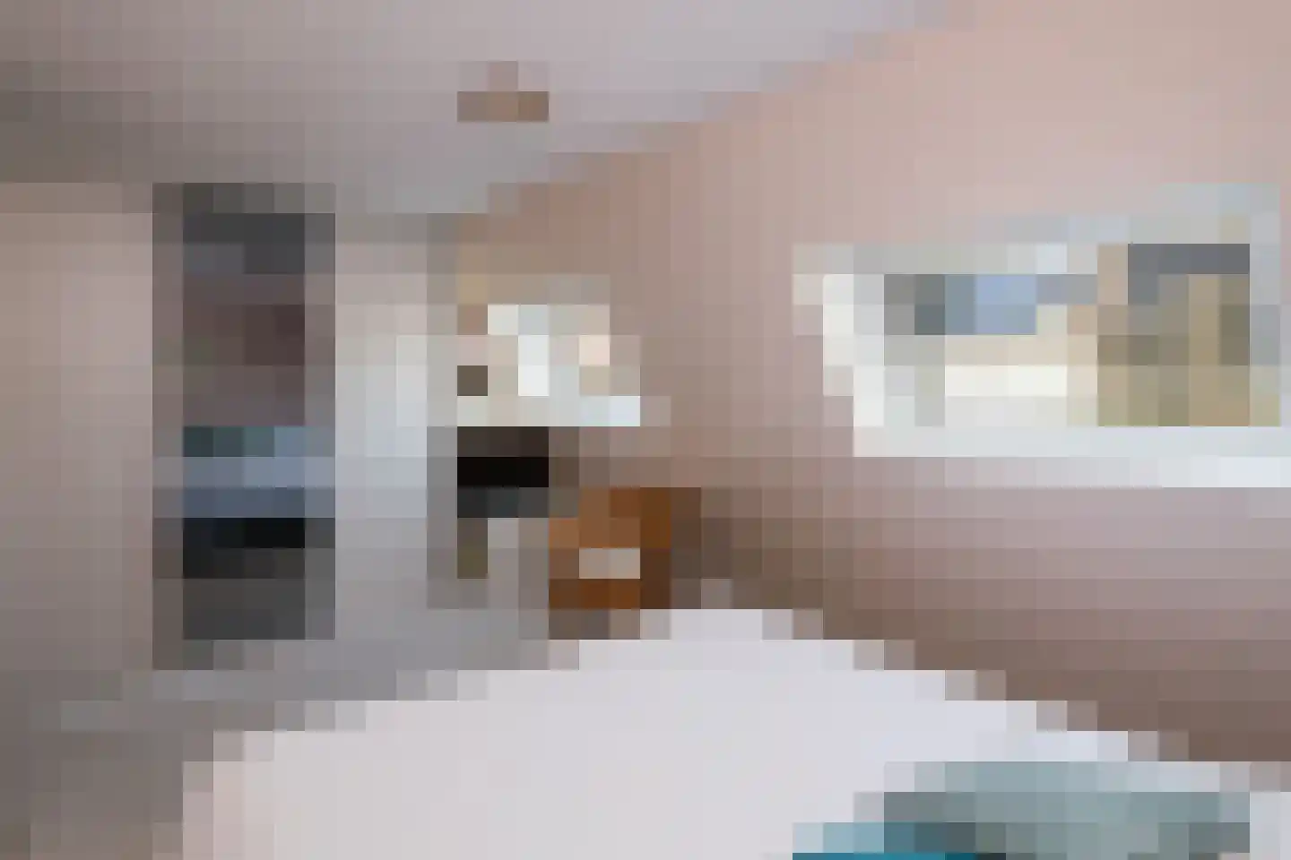 Fazant 64 Ridderkerk thumbnail 15
