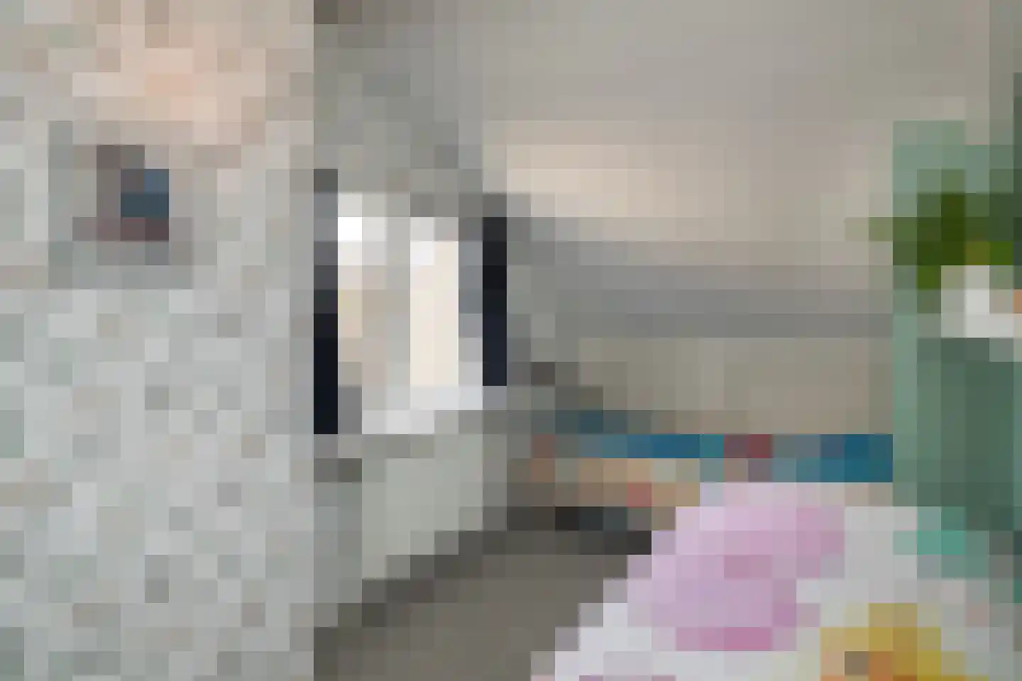 Fazant 64 Ridderkerk thumbnail 19