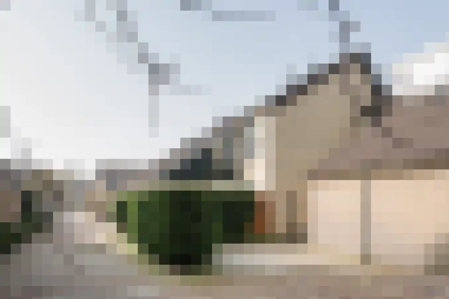 Fazant 64 Ridderkerk thumbnail 25