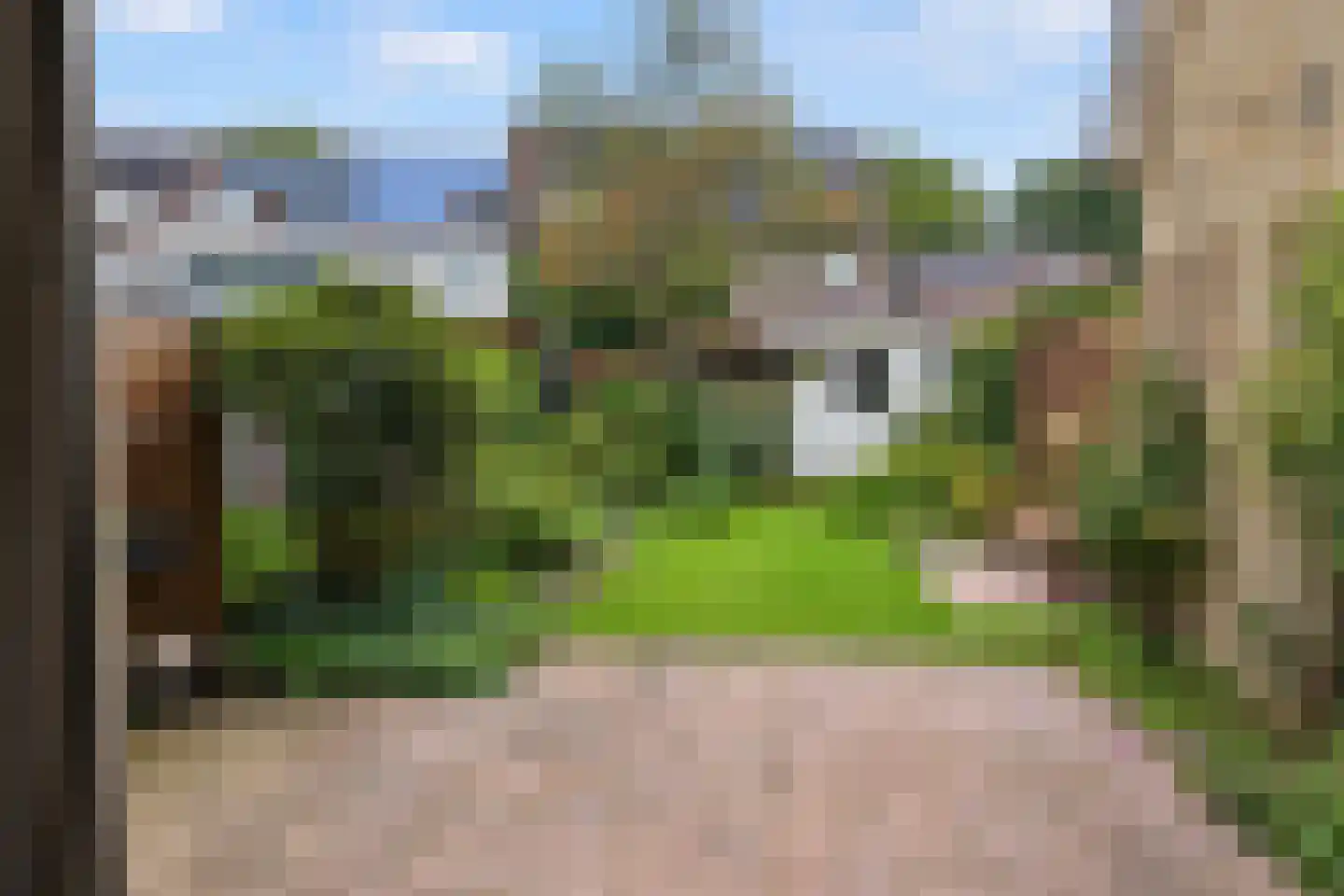 Fazant 64 Ridderkerk foto 3