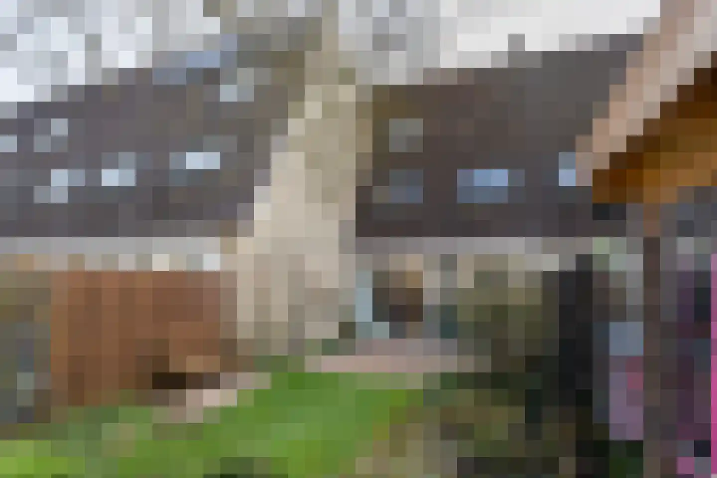 Fazant 64 Ridderkerk thumbnail 7